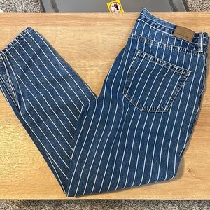 American Eagle Outfitters Blue and White Striped Straight Jeans